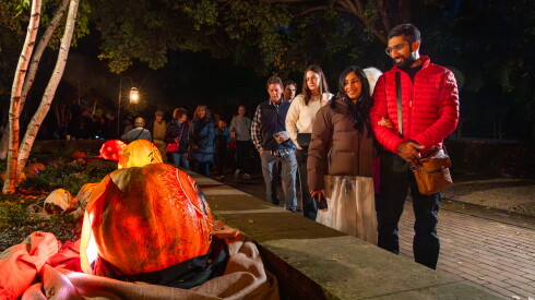 Night of 1,000 Jack-o’-Lanterns - Courtesy of Chicago Botanic Garden.jpg