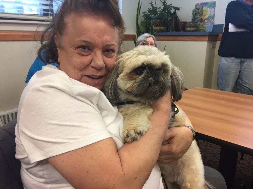 Gail Rover, 66, holding her dog, William, said she was homeless before thinking she’d found a home for life at Levy House. | Mark Brown for the Sun-Times