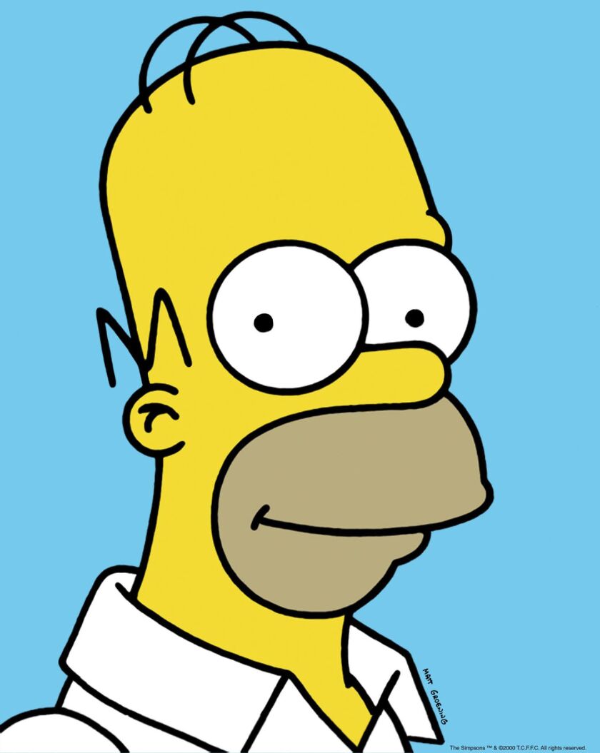 Homer Simpson © 2017 TCFFC ALL RIGHTS RESERVED
