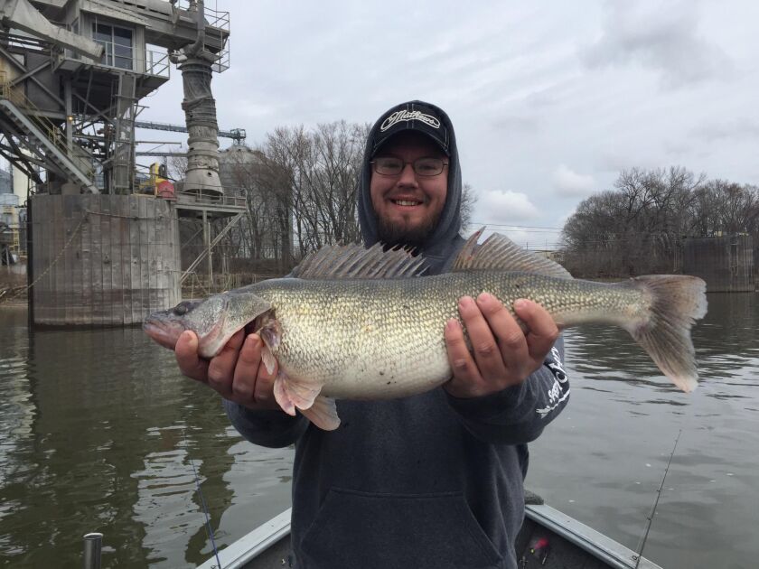 fotw03_16_16walleyeillinoisriver.jpg