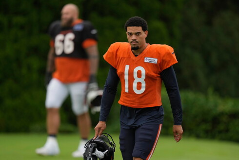 Bears Bengals Camp Football