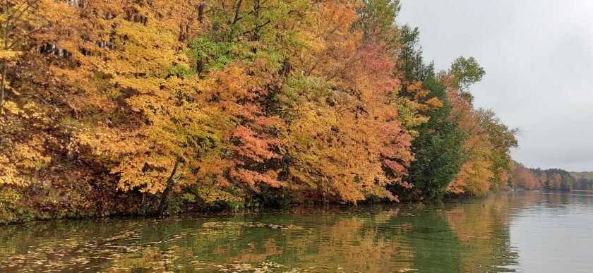 Fall arrives on the Wisconsin River. Credit: Rob Abouchar