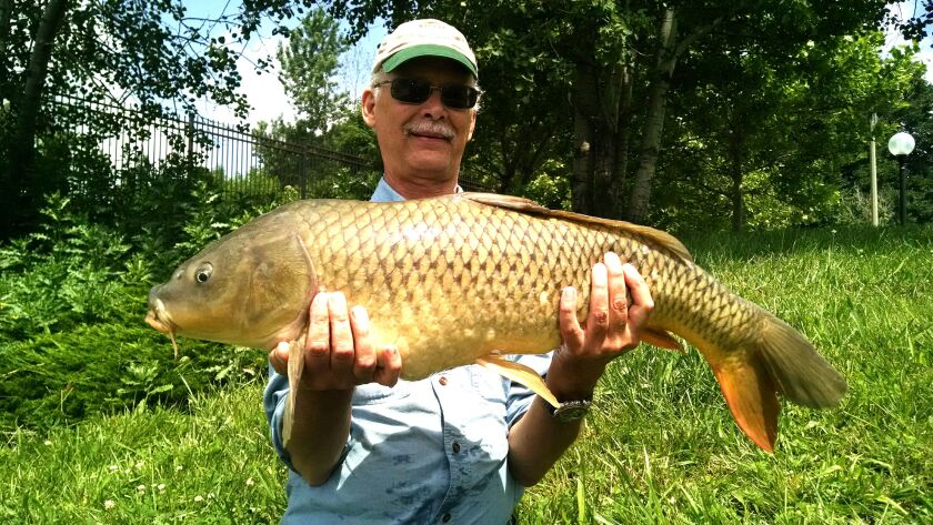 carp06_21_15lakefront2paulpezalla_600x337.jpg