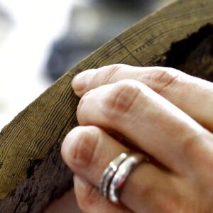 A portion of a pine casket from one of the graves unearthed. | AP/Rogelio V. Solis