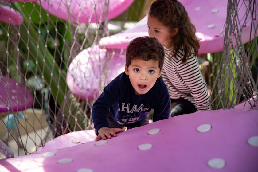 The High-Biscus Climber, an interactive 20-foot net climbing structure is part of the renovated Children's Garden at the Garfield Park Conservatory.
