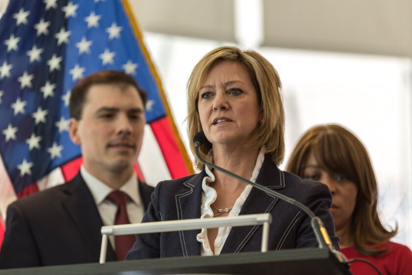 Then Republican state Rep. Jeanne Ives holds a news conference during her 2018 run for governor. File photo .