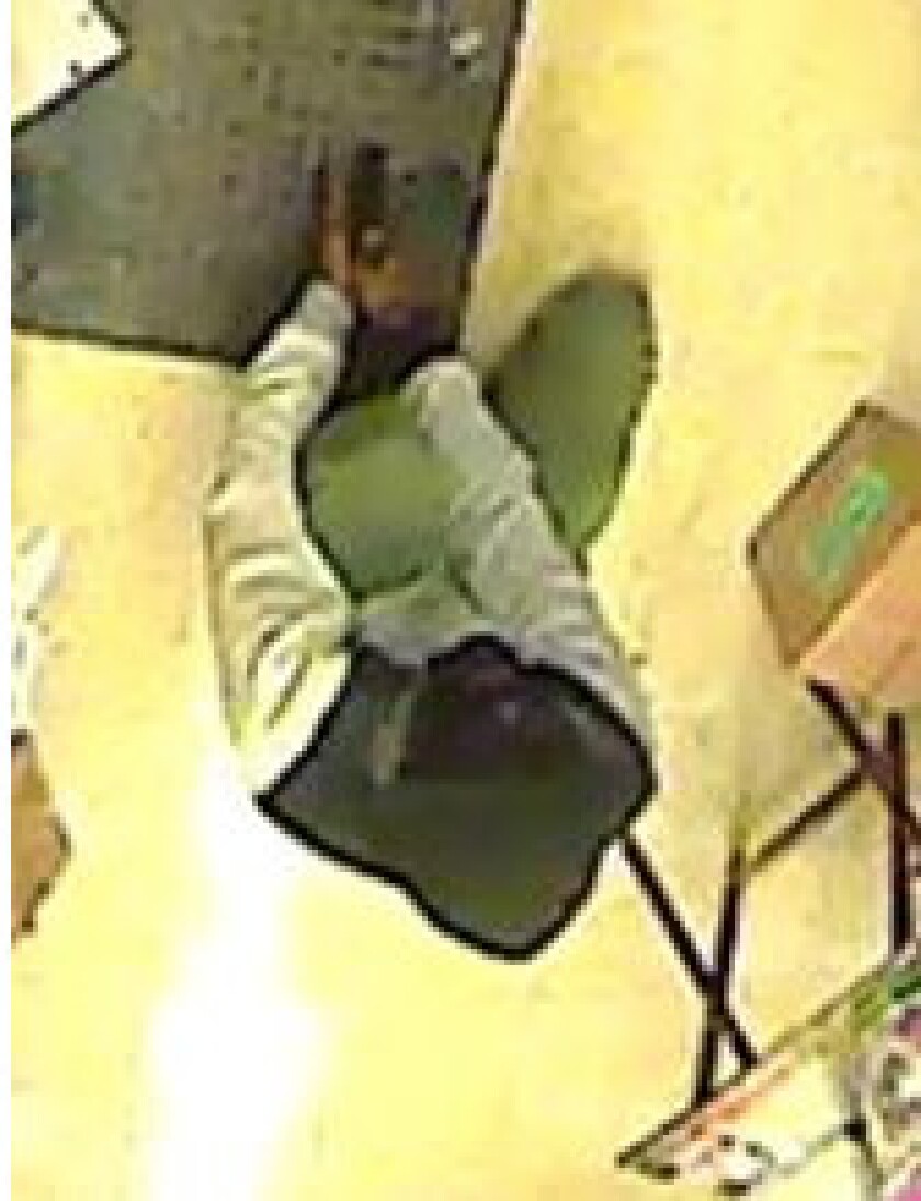 Surveillance photo | Wheaton police