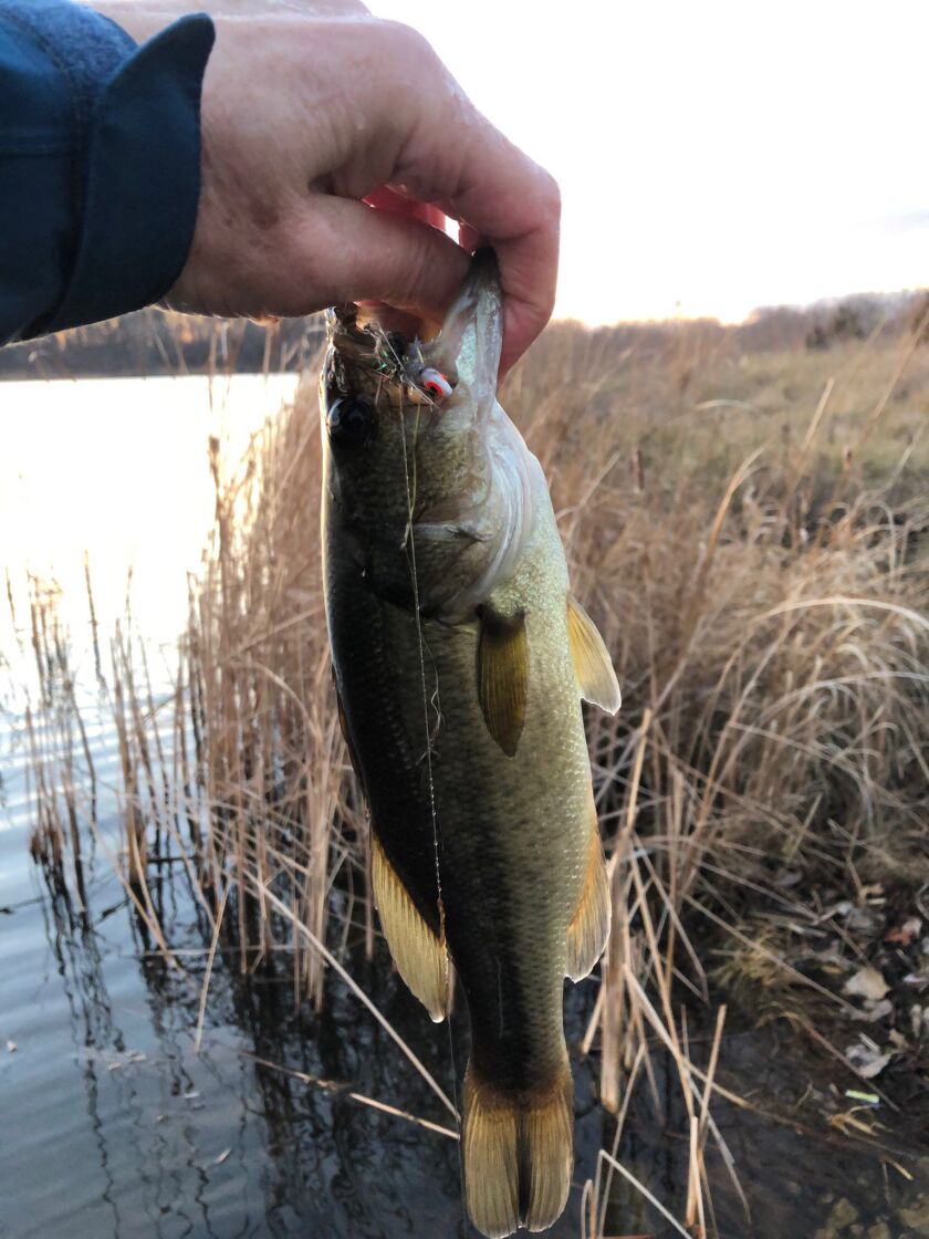Fly fishing for crappie in Kane County had some bonuses. Provided photo
