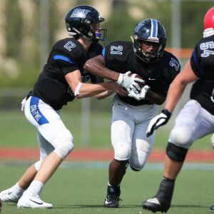Lincoln-Way East’s Jack Baltz (12) hands off to Devon Williams. Allen Cunningham/For the Sun-Times.
