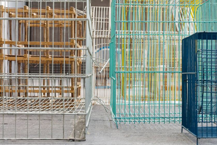 “Escape Circuit” (2014) by Roman Ondak. | PROVIDED PHOTO