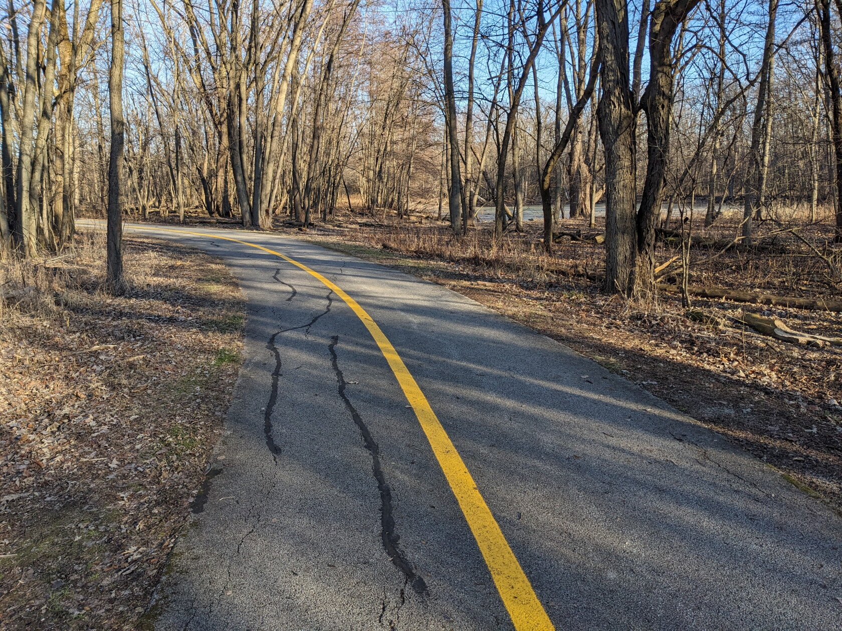 First Day Hikes spill into the second day - Chicago Sun-Times
