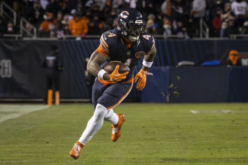 BEARS-260111-109.jpg