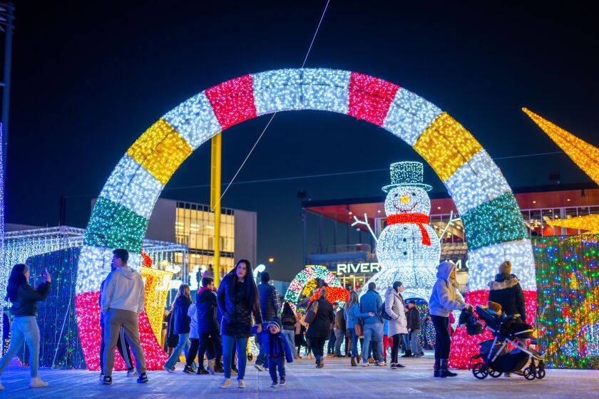 Sparkle Light Festival