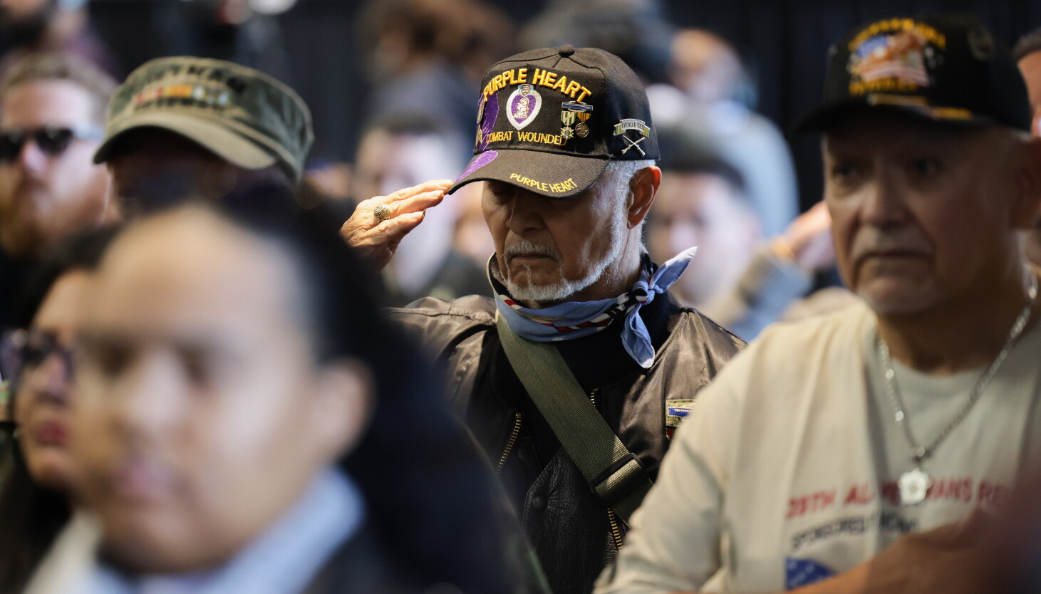 Veterans Day Celebration Veterans Day Celebration