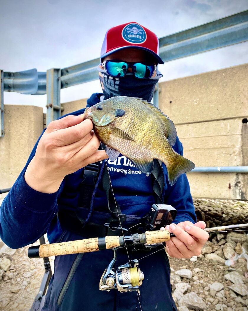 Jason “Special One” Le with a good bluegill from Heidecke Lake. Provided photo