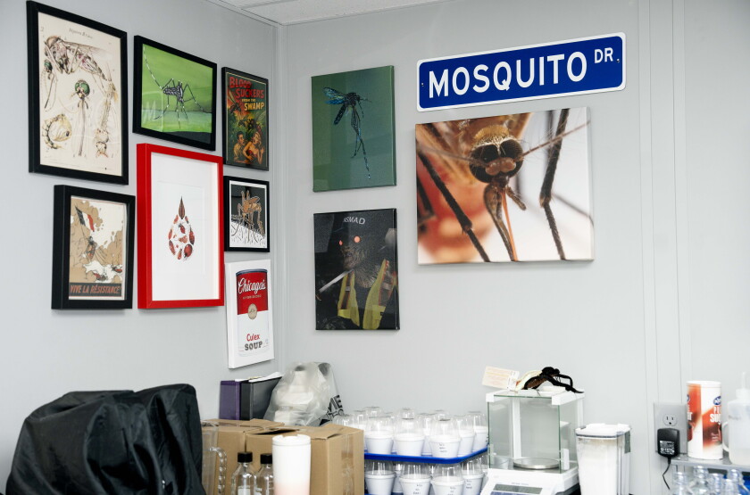 MOSQUITOES_260714_18.jpg