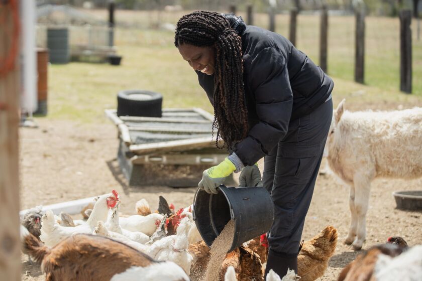 Johari Cole-Kweli moved to Pembroke inspired by the area’s history of Black farmers practicing sustainable agriculture.