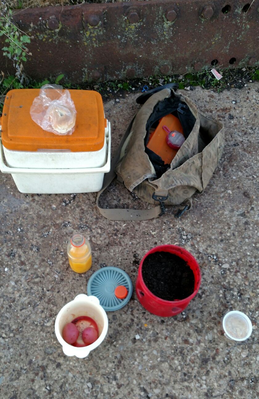 A fisherman’s breakfast–red-beet eggs, orange juice, bagel and cream cheese–in a rare morning alone in Chicago outdoors at the North Slip at Steelworkers Park.<br>Credit: Dale Bowman