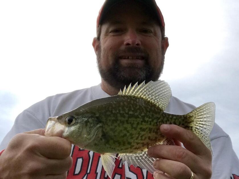 Crappie from Chicago suburbs.<br>Provided