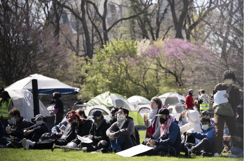 Protesters gather in April 2024 at Northwestern University’s Deering Meadow in Evanston, where students and professors set up an encampment in support of Palestinians.Pat Nabong/Sun-Times file