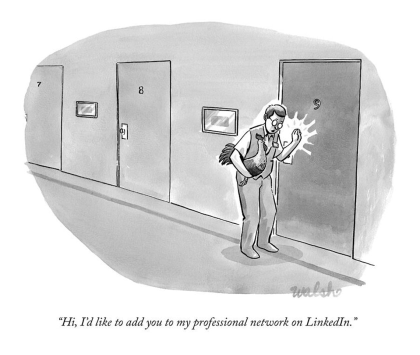 158 LinkedIn_credit Liam Frances Walsh.jpg