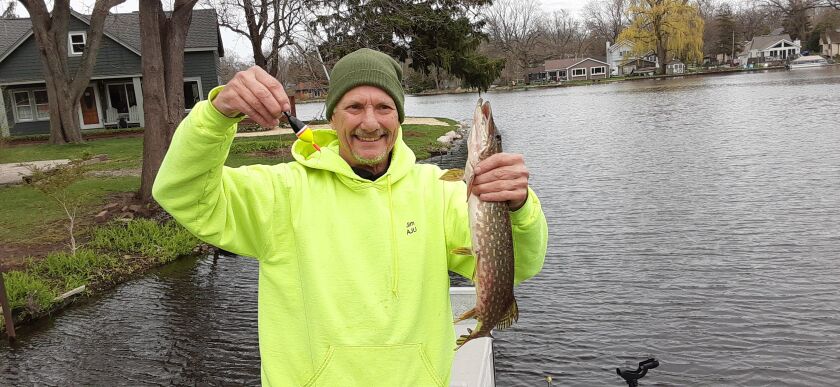 Keeping up a theme of northern pike, here is a small pike caught with a team effort from Island Lake. Provided by Rob Abouchar