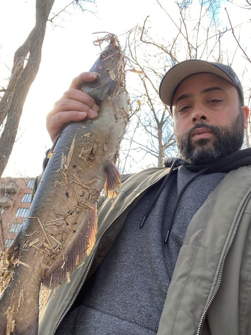 Fox River catfish. Provided by Dicky’s Bait Shop