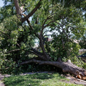 STORMAFTERMATH_260613-16.jpg