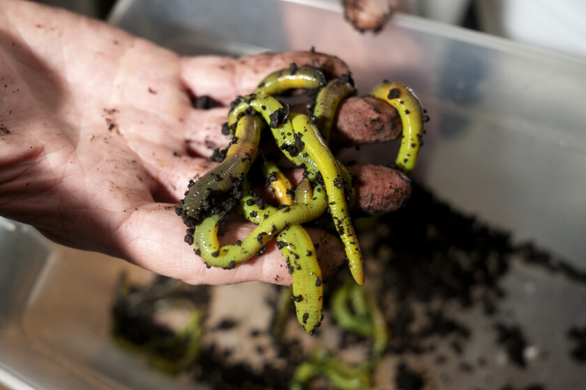 FISHINGKIDS-08XX25_5