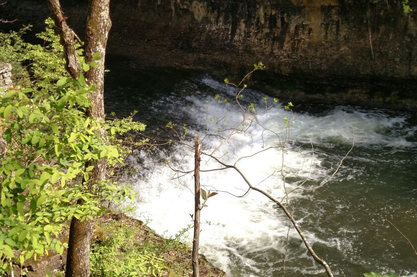 A waterfall on Rock Creek, as flowing during a hike in 2017 for Master Naturalist training at Camp Shaw.<br>Credit: Dale Bowman
