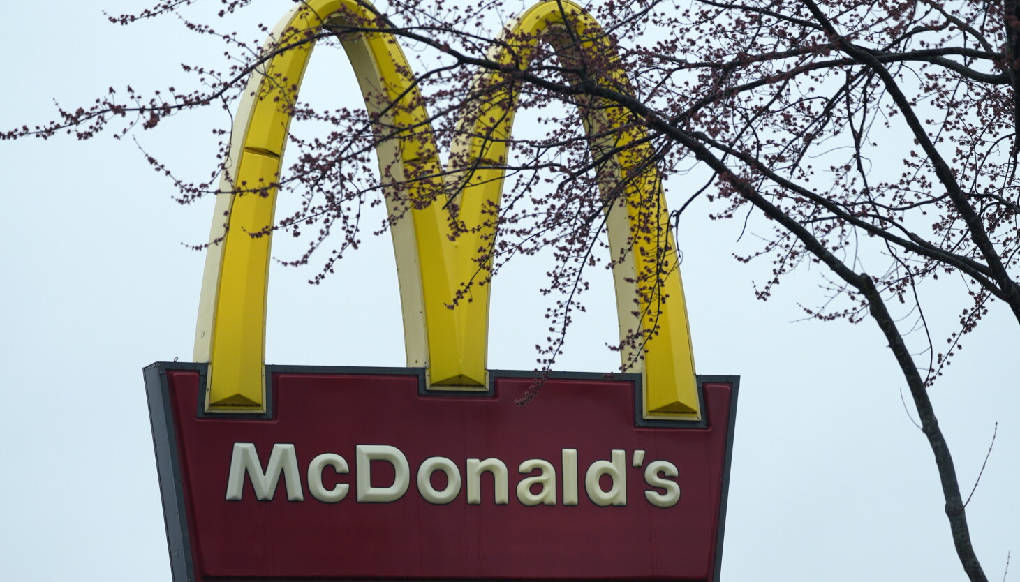 McDonald’s Sued by Conservative Group over Hispanic Scholarship Program McDonald’s Sued by Conservative Group over Hispanic Scholarship Program