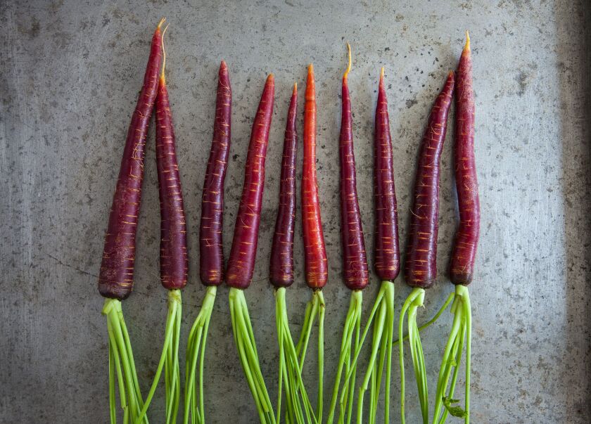 Purple carrots.