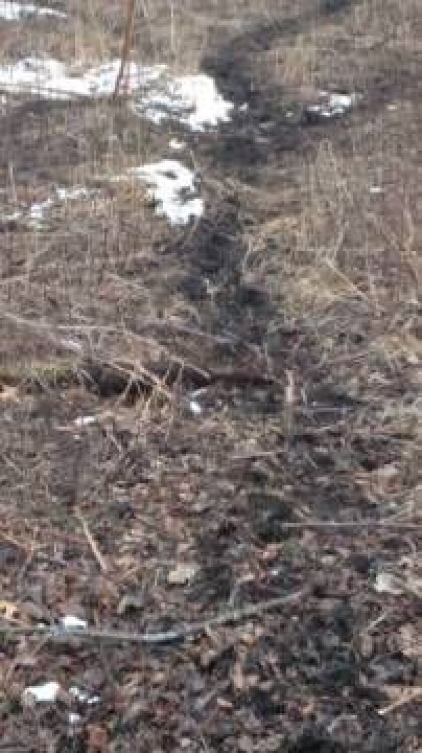 deer02_25_16trail_337x600.jpg