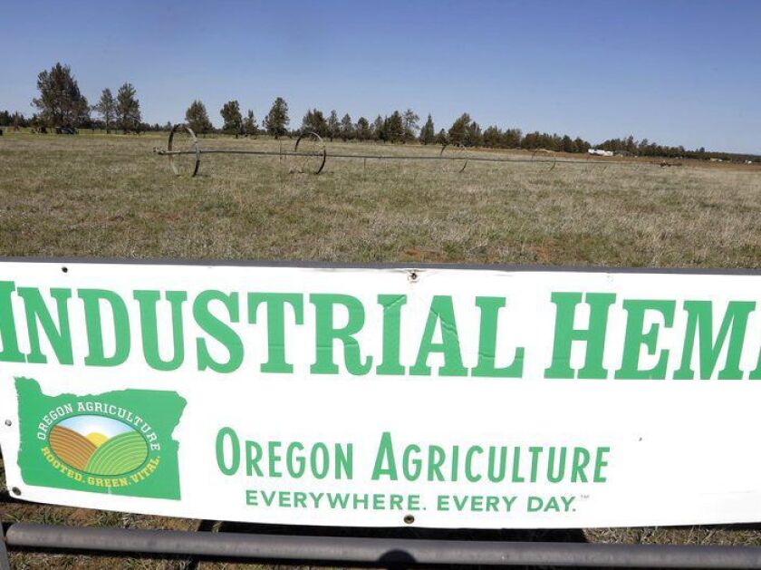 Congress approved the 2018 federal farm bill this week. The legislation includes a provision that would remove hemp from the list of federally controlled substances. | AP file photo