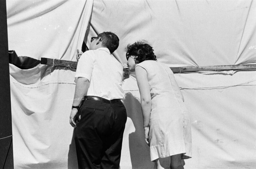 People catching a glimpse through the holes in the canvas surrounding the Picasso before its unveiling in 1967. | Sun-Times files