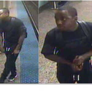 Chicago Police want to question these people in connection with Pamela Johnson’s death. | Chicago Police Department
