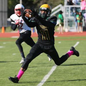 Westinghouse’s Joseph Lemon (11) catches a pass. Allen Cunningham/For the Sun-Times.