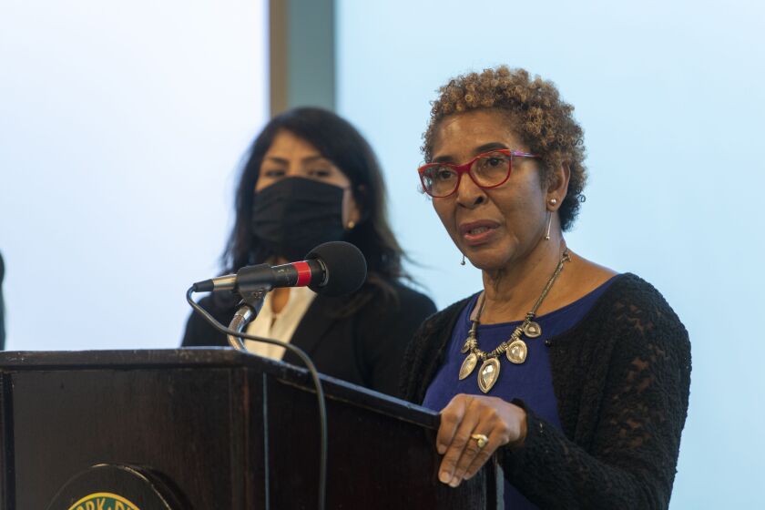 Chicago Park District Board President Avis LaVelle speaks to reporters during a press conference at Jesse White Park on Tuesday, Nov. 2, 2021, where officials provided an update on ongoing investigations at the park district.