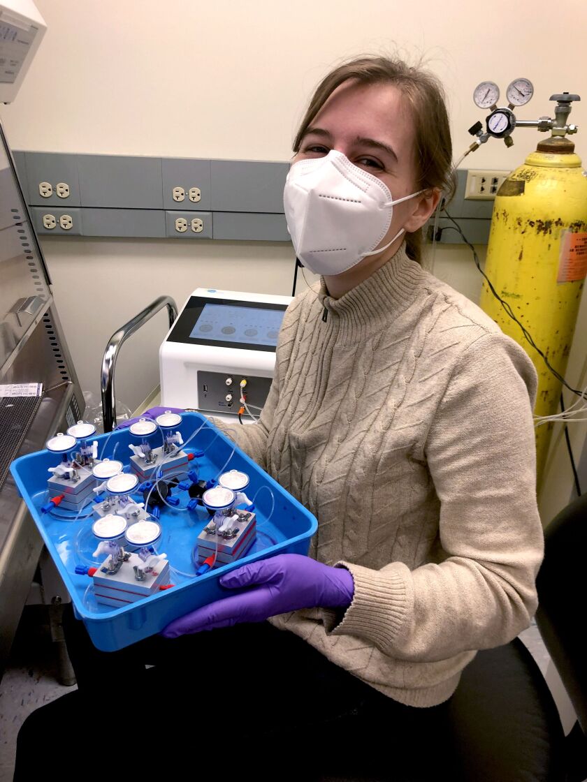 Katherine Nurminsky holds patches for the perfusion system.
