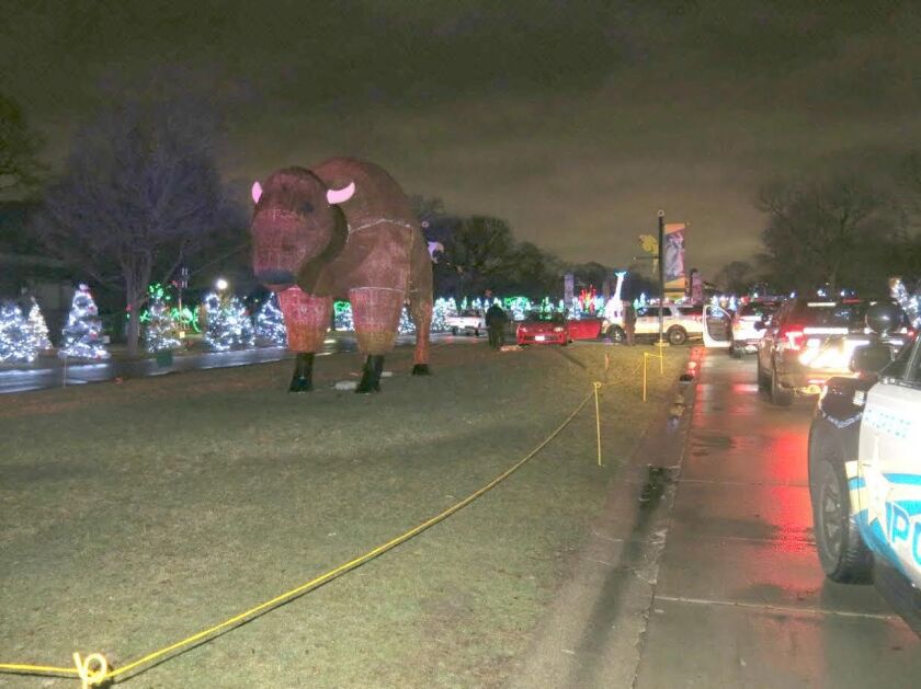 A bizarre scene inside Brookfield Zoo on Thursday night, when an elderly woman crashed into a concrete post. | Riverside police