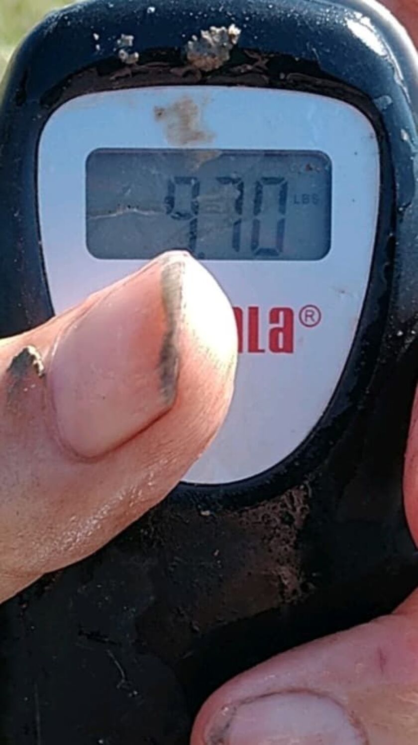 Scale photo of Michael Quigley’s big bass. Provided photo