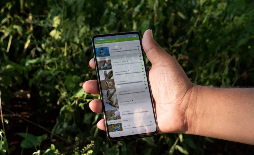 Jorge Garcia holds his phone with the Merlin app open.