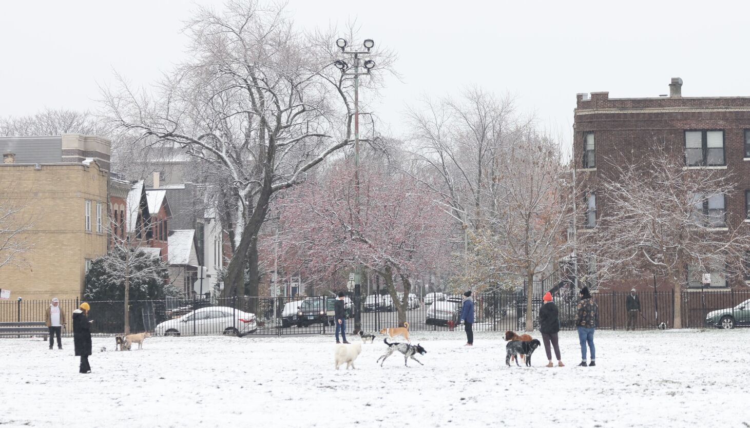 NextImg:Chicago area gets nearly 2 inches of snow