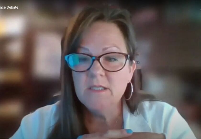 Cook County Board of Review Commissioner Tammy Wendt speaks during a virtual board meeting held in June.