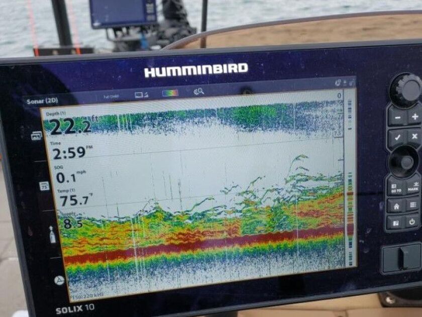 A graph with what perch can look like in the Indiana waters of southern Lake Michigan when the weather is right. Provided by Shaun Murphy