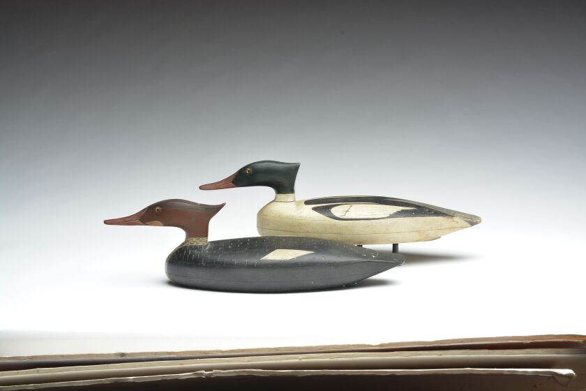 Mergansers by John Dawson in the Mackey collection from the Guyette & Deeter, Inc. 2019 auction at Pheasant Run in St. Charles.<br>Provided by Guyette & Deeter, Inc.