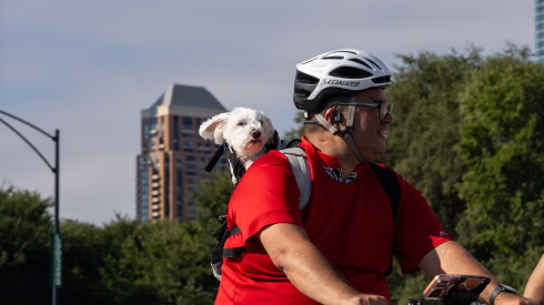 A dog enjoys a ride down DuSable Lake Shore Drive during the 25th Annual Bike the Drive fundraiser Sunday, Sept. 6, 2026.