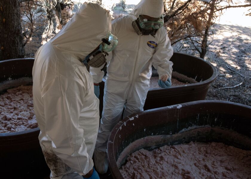 Mexican Army experts examining containers of crystal methamphetamine paste at a clandestine lab in Baja California that was producing the drug.