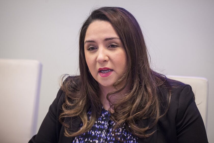 State Rep. Delia Ramirez, D-Chicago: “We still have a long way to go in making health care truly a human right in the state and, furthermore, the nation.”