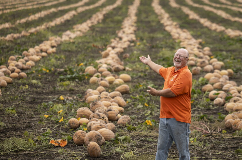 STEINBERGPUMPKINS_261018-41.jpg